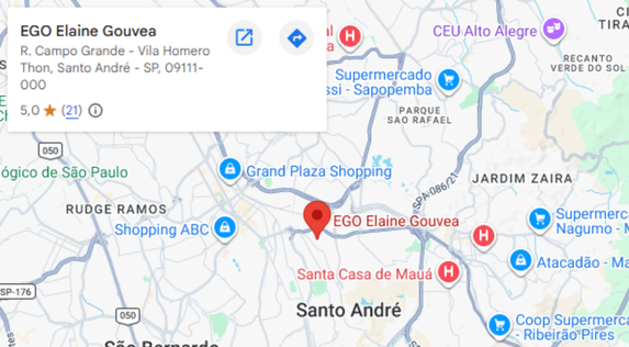 mapa personal organizer elaine gouvea