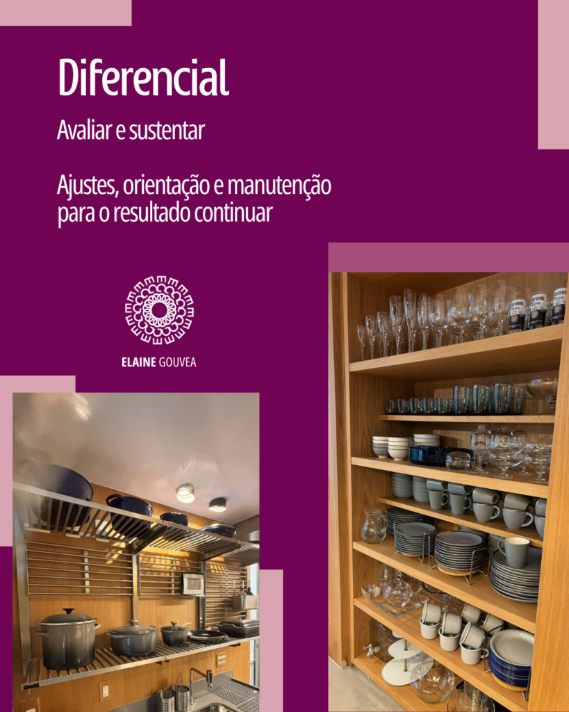 organização profissional de Elaine Gouvea