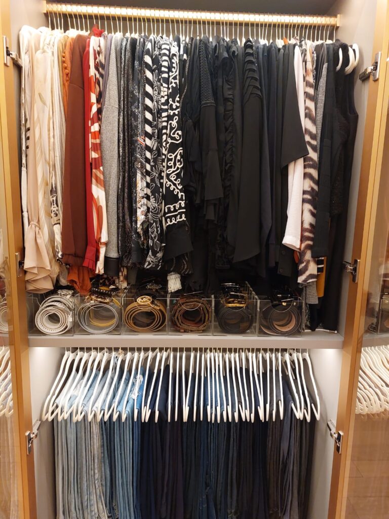 Closet feminino organizado por Personal Organizer, com roupas separadas e penduradas em cabides.